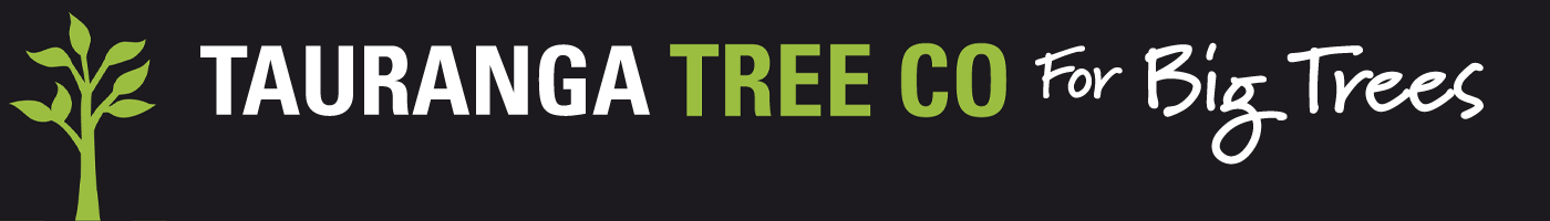 Tauranga Tree Logo