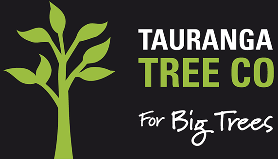 Tauranga Tree Logo