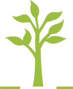 tauranga tree logo icon